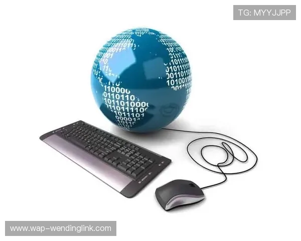 问鼎官方网站优化策略详细解析，助力企业实现在线业务快速增长