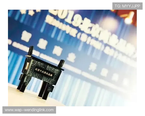 问鼎正规官网：官方网站在品牌建设中的核心作用及提升品牌影响力的有效途径