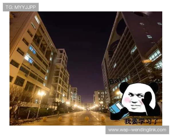 问鼎电子娱乐：如何利用大数据提升玩家体验与市场竞争力