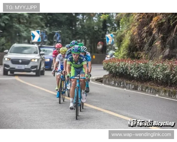 问鼎体育:最新体育科技应用助力运动员问鼎世界顶尖水平的实用指南 问鼎体育:最新体育科技应用助力运动员问鼎世界顶尖水平的实用指南