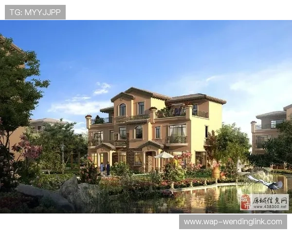 问鼎网官网入口登录常见问题及解决方案全面解析