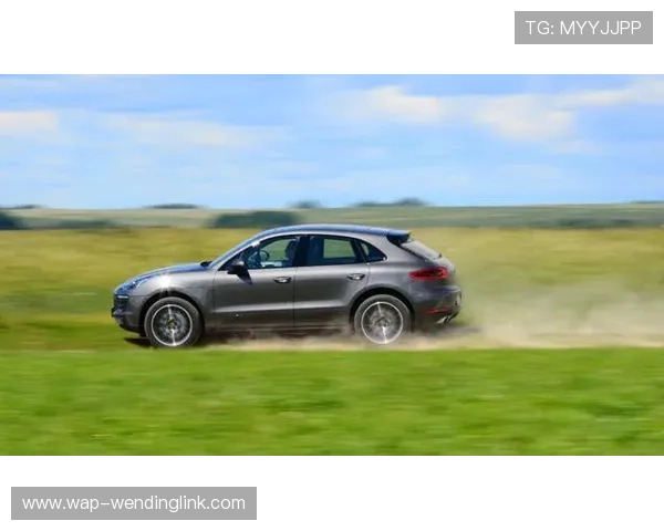 问鼎网页网址查询常见问题解答及安全访问技巧保障玩家账号安全的实用建议