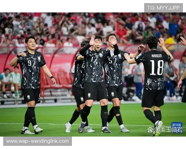 南非对韩国国际足联世界杯比赛精彩瞬间集锦与精彩进球盘点